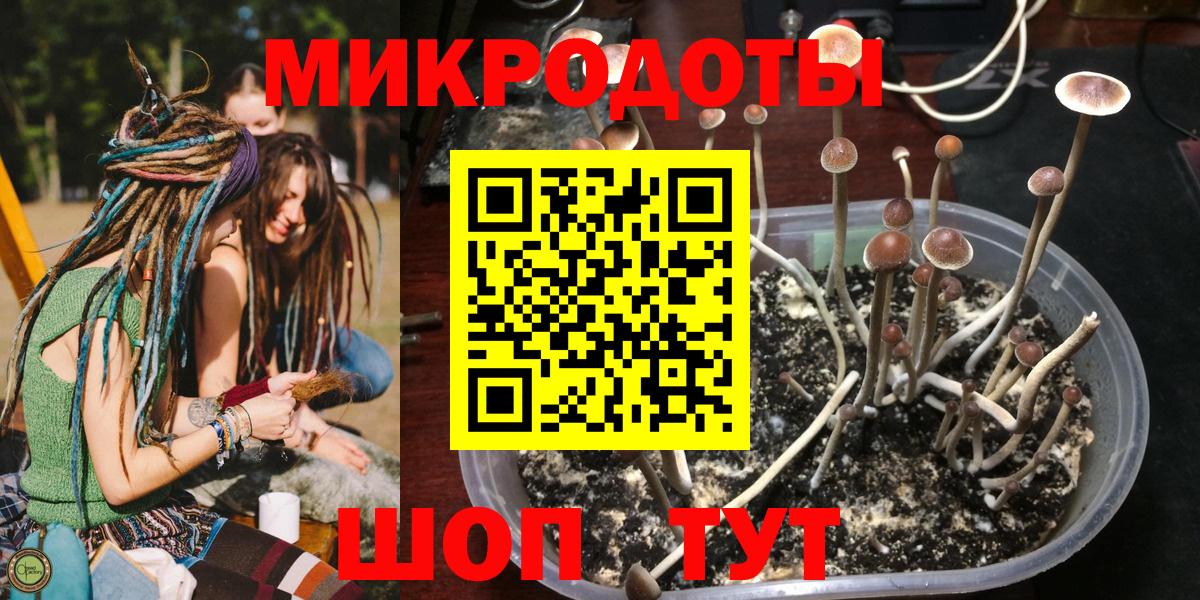 Галлюциногенные грибы ЛСД Щёлково