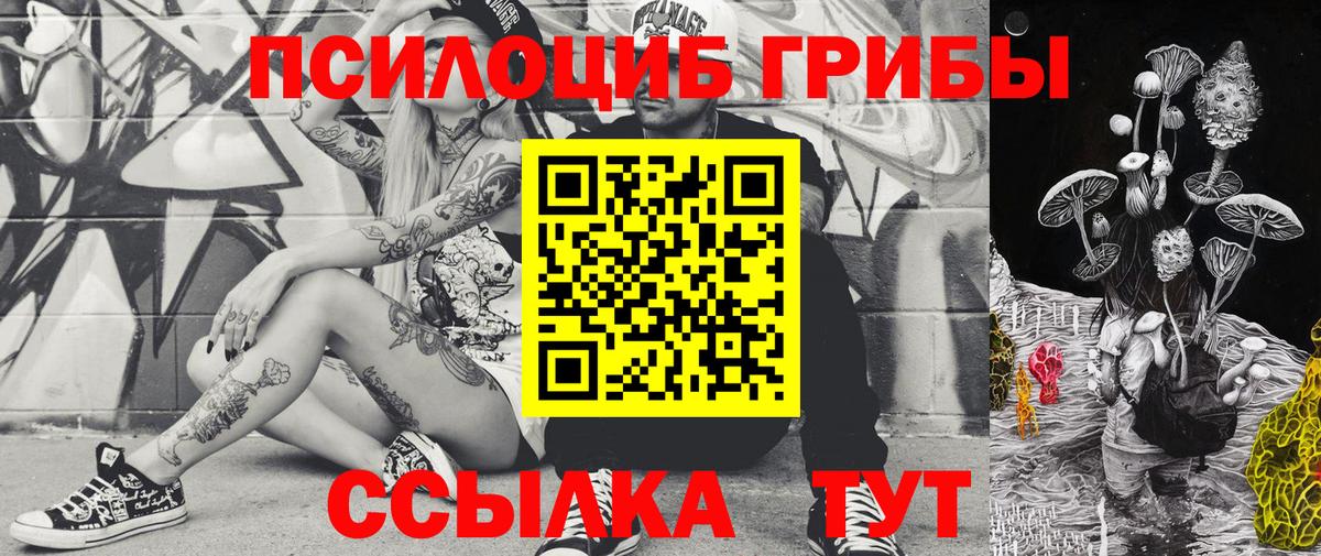 Галлюциногенные грибы мухоморы  Вход с VPN  что такое наркотик  Щёлково 